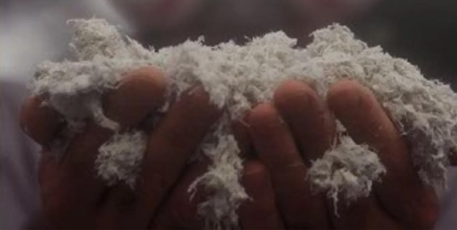 Asbestos Services from Farmer Environmental Services, LLC Asbestos Services from Farmer Environmental Services, LLC